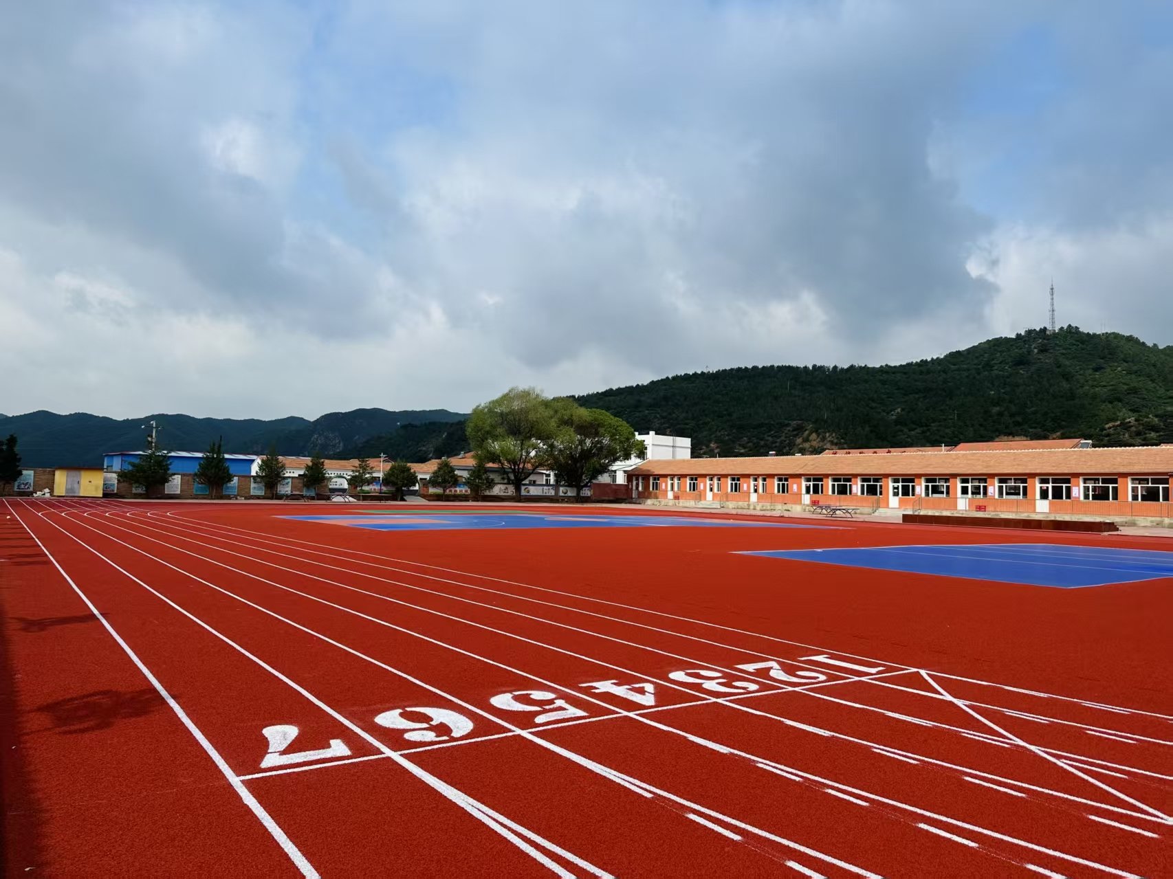 保定市自结纹塑胶跑道人造草坪 - 排名